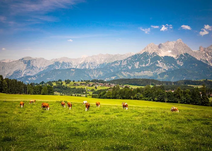 Апартаменты Hansenbauer Зальфельден