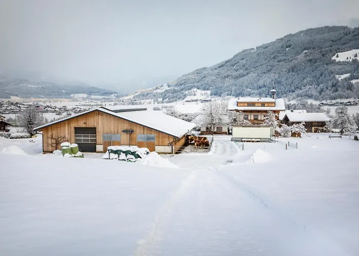 דירה Hansenbauer *